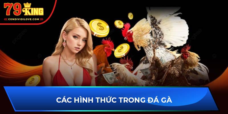 Các hình thức trong cq9 đá gà 79king