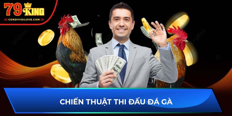 Chiến thuật thi đấu đá gà liên giá 79king