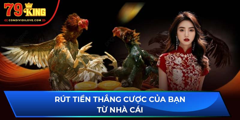 Rút tiền thắng cược của bạn từ nhà cái